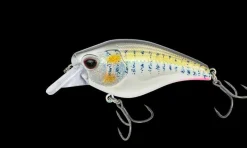 Nomad Hard Baits>Atlas 70 Square Bill Crank Floating Lure