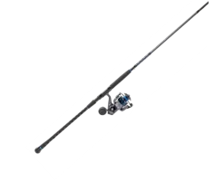 Quantum Combos|Spinning>Merit Spinning Combos