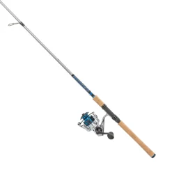 Quantum Combos|Spinning>Strive Spinning Combo