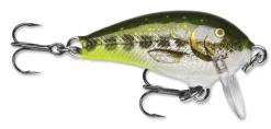 Rapala Hard Baits>Mini Fat Rap Crankbaits