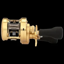 Shimano Baitcasting>Calcutta Conquest MD