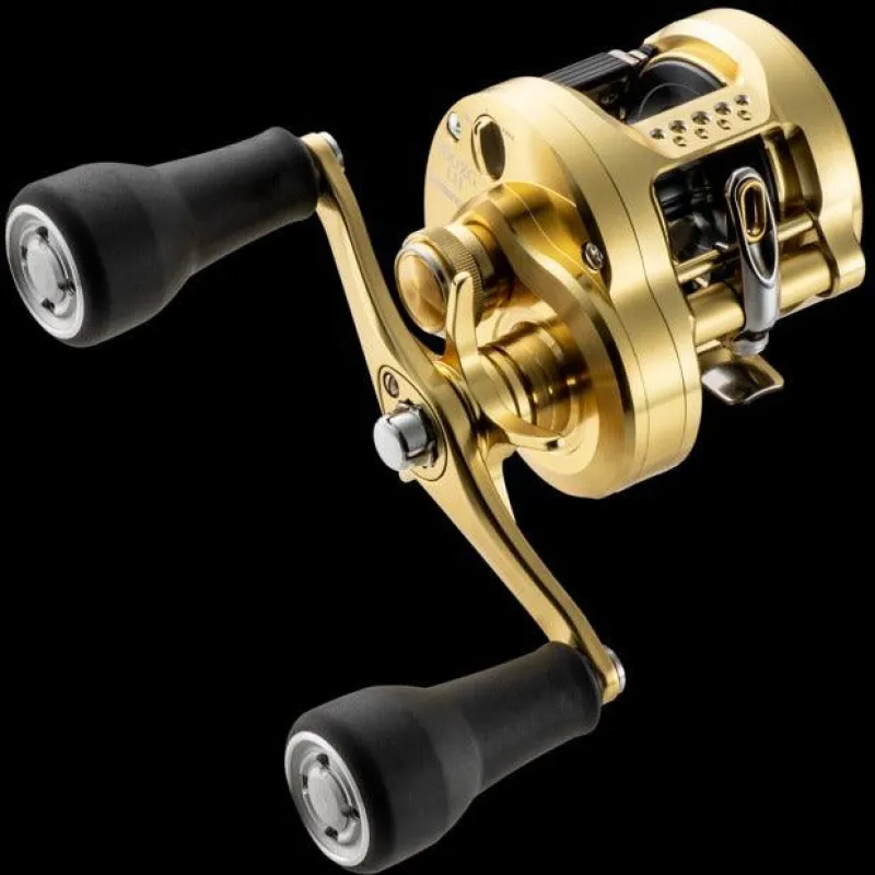 Shimano Baitcasting>Calcutta Conquest MD