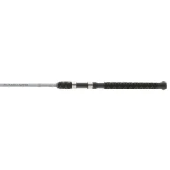 Shimano Trolling|Casting>Saguaro Spinning Rods B