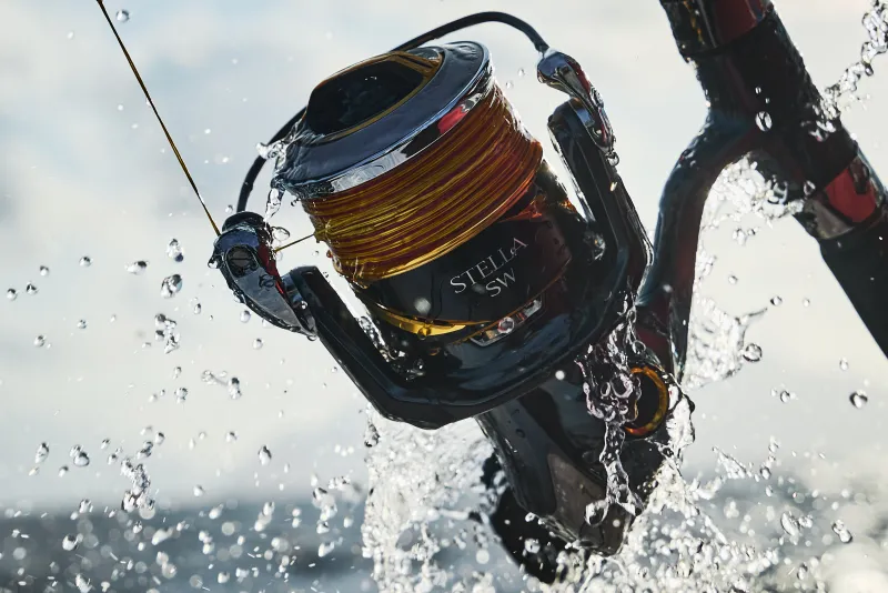 Shimano Conventional>Stella SW D Spinning Reels
