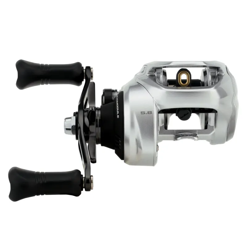 Shimano Baitcasting>2025 Tranx 300 B Baitcasting Reels