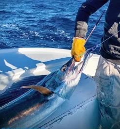 Small Lure Company Trolling Lures>Cruiser-T Bullet Trolling Lures