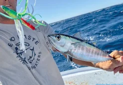 Small Lure Company Trolling Lures>Cruiser-T Bullet Trolling Lures