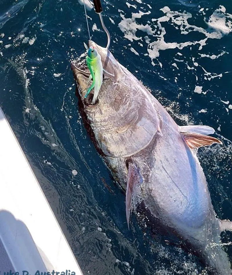 Small Lure Company Trolling Lures>Cruiser-T Bullet Trolling Lures