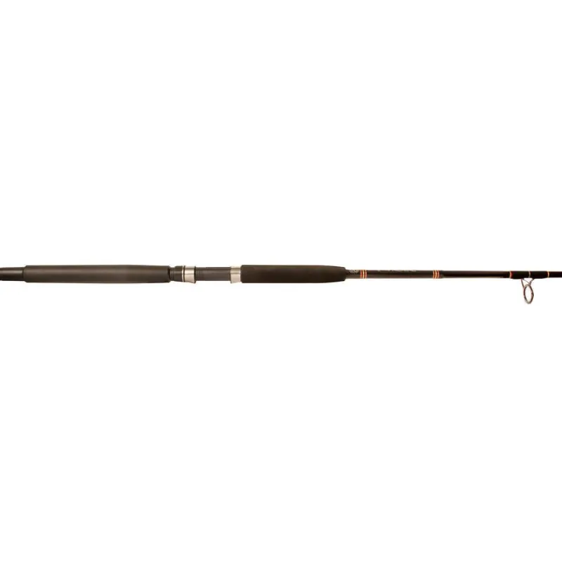 Star Rods Spinning>Aerial Live Bait Spinning Rods