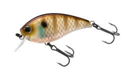Yo-Zuri Hard Baits>3DB 1.5 Squarebill Floating Lure