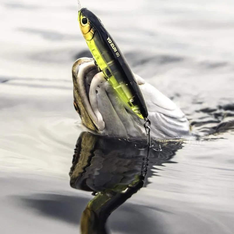 Yo-Zuri Hard Baits>3D Inshore Topknock Pencil Lure